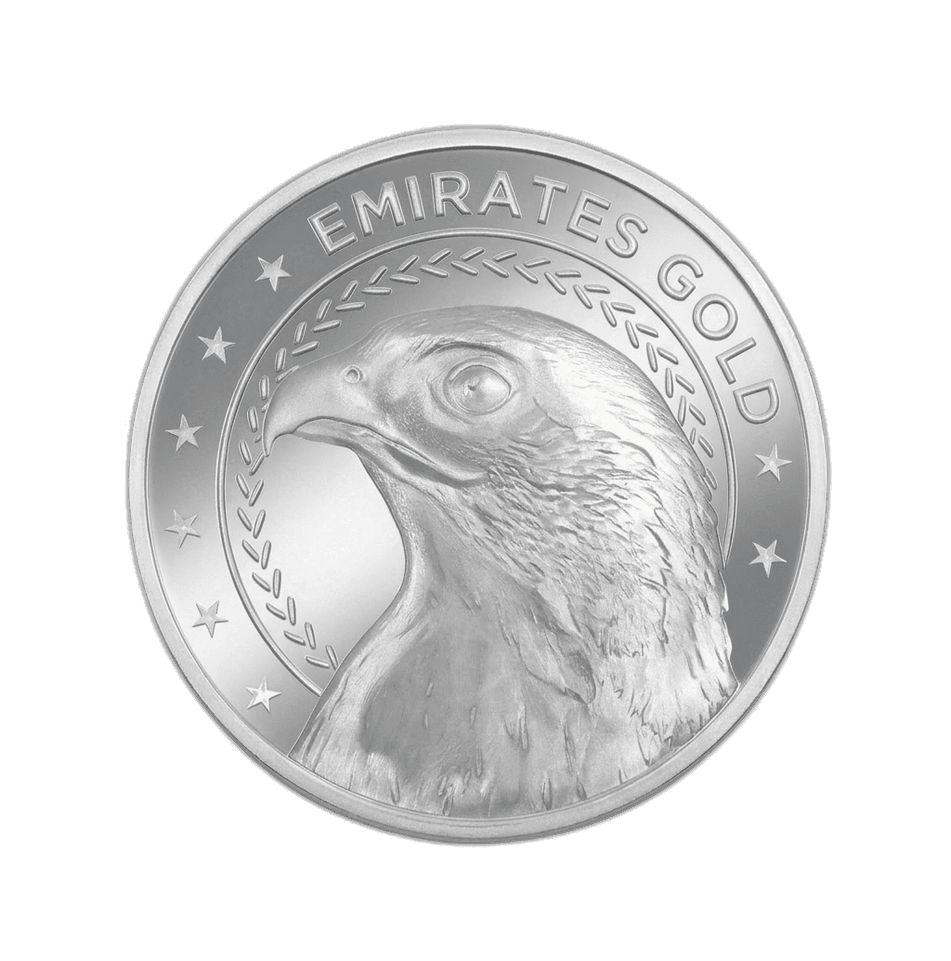Emirates Gold Falcon Coin 20g Pure Silver