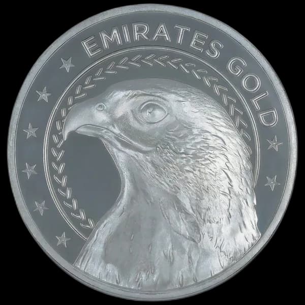 Falcon Silver Coin 20g