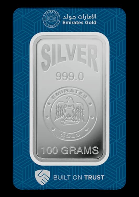 Silver Bar 100g